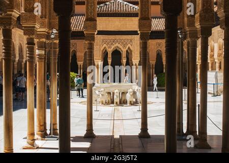 Colonne fiancheggiano l'ingresso al patio de los Leones (patio dei Leoni) all'interno del palazzo dell'Alhambra, Granada, Spagna Foto Stock