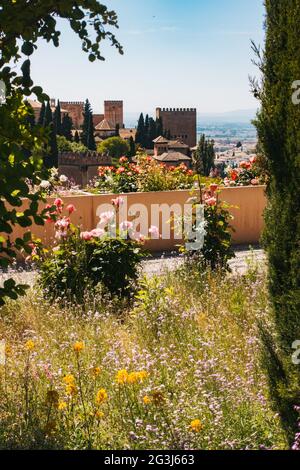 Torreggia al complesso del palazzo dell'Alhambra da dietro i giardini ornati delle rose nel Generalife a Granada, Spagna Foto Stock