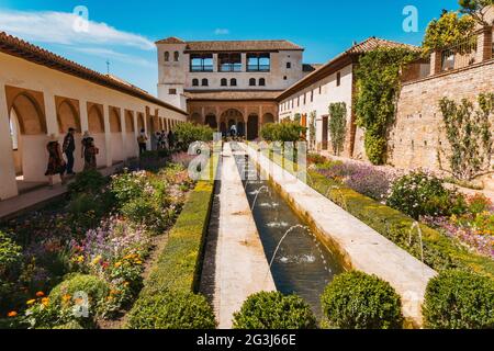 Giardini nel patio de la Acequia nel Palacio de Generalife, di fronte all'Alhambra, Granada, Spagna Foto Stock
