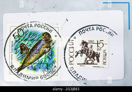 MOSCA, RUSSIA - 17 APRILE 2021: Francobollo stampato in Russia mostra il sigillo ad anello (Pusa hispida), fauna marina della serie della regione del Pacifico, circa 199 Foto Stock