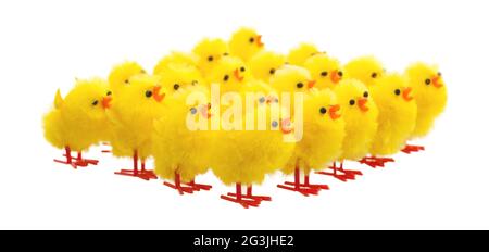 Abbondanza di pulcini di pasqua, fuoco selettivo Foto Stock