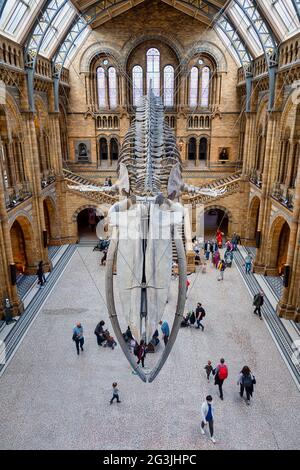 LONDRA, REGNO UNITO - 19 MAGGIO 2021: Ingresso principale del Natural History Museum Foto Stock