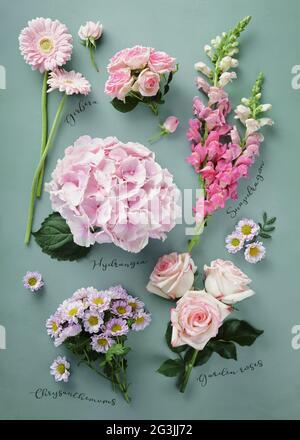 Erbe Botanica Wall Art Set Botanico. Decorazione stile di vita. Erbario di vari fiori su sfondo blu. Foto Stock