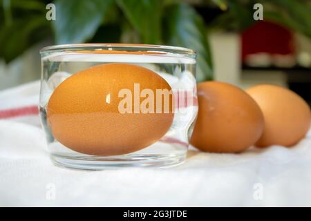 Uovo in acqua e prova di freschezza Foto Stock