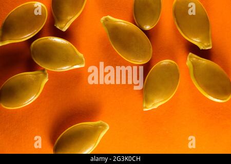 Goliath Pumpkin Seeds Abstract Layout on Orange Foto Stock