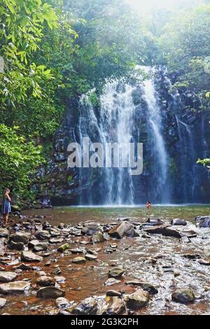 Le Cascate Ellinjaa e la piscina fanno parte del circuito delle cascate intorno a Millaa Millaa sulla Atherton Tableleands nell'estremo Nord del Queensland Australia Foto Stock