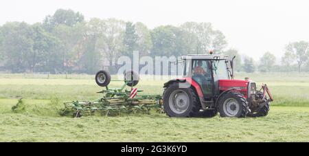 Leeuwarden, Paesi Bassi - 26 Maggio 2016: agricoltore usa il trattore per diffondere il fieno su un campo in Frisia, nei Paesi Bassi il 26 maggio Foto Stock