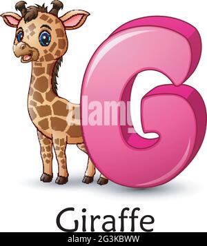 La lettera G è per l'alfabeto cartoon Giraffe Illustrazione Vettoriale