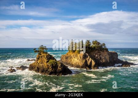 Due piccole isole coperte di alberi al largo della costa del Corridoio Scenic state di Samuel H. Boardman, nell'Oregon meridionale, USA, in una giornata di sole Foto Stock