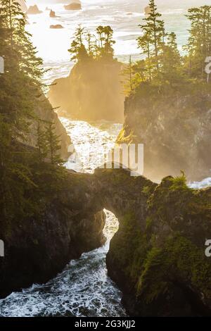 La luce del sole precoce sull'arco marino a Natural Bridges nel Corridoio scenico di Stato di Samuel H. Boardman, nell'Oregon meridionale, Stati Uniti Foto Stock