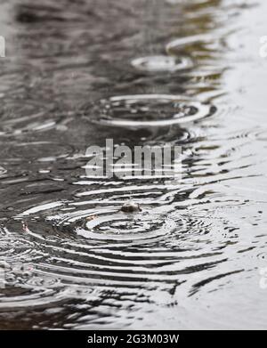 Brighton UK 17 giugno 2021 - acque alluvionali sulle strade di Valley Gardens a Brighton dopo una notte di pioggia pesante e temporali nel Sud-est : Credit Simon Dack / Alamy Live News Foto Stock