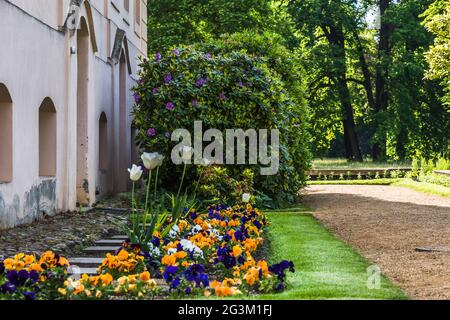 Fiorito sul lato di un castello in un parco di campagna Foto Stock