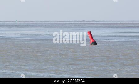 Boa in acqua - Waddensea nei Paesi Bassi Foto Stock