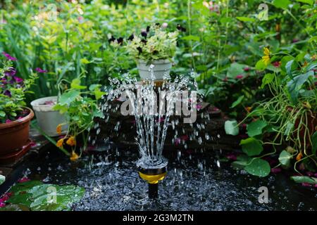 Frontyard giardino di casa con fontana di acqua verde prato lastricatore percorso di mattoni di alberi ed arbusti landscaping Foto Stock