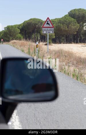 Palo in metallo con segnale stradale avvertimento traversata lince iberica. Le uccisioni stradali sono considerate una causa principale di morte nella lince iberica Foto Stock