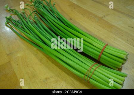 Fiore di cipolla, cepa di allio, cipolla gallese, fiore di allio su tagliere. Foto Stock