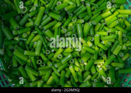 Mucchio di cipolla tritata fiore, Allium cepa, cipolla gallese, Allium fiore. Foto Stock