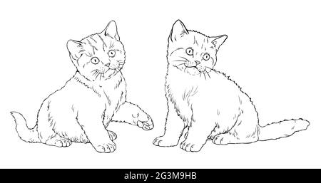 Simpatici gattini per colorare. Modello per un libro da colorare con i gatti piccoli. Foto Stock