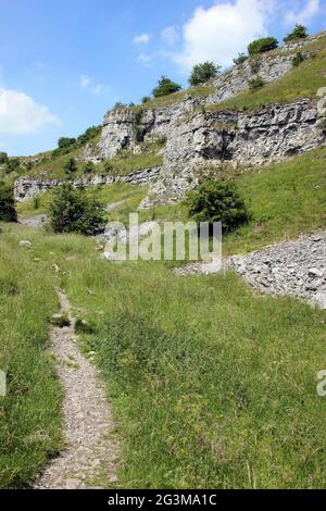 Percorso che attraversa Lathkill Dale, Peak District Derbyshire Foto Stock