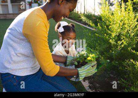 Felice madre afroamericana e figlia inginocchiati tendendo a piante in giardino soleggiato Foto Stock