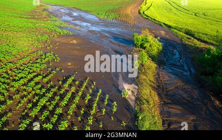 Vista dal drone sui campi agricoli danneggiati dalla pioggia Foto Stock