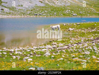 Lago di Duchessa e Monte Murolango (Italia) - la cima paesaggistica del Monte Murolondo con il Monte Velino e il Lago di Duchessa, Rieti, Lazio Abruzzo. Foto Stock