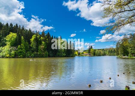 Germania, paesaggio naturale perfetto del lago ebnisee acqua circondata da boschi e alberi nella foresta sveva vicino kaisersbach e welzheim in estate Foto Stock