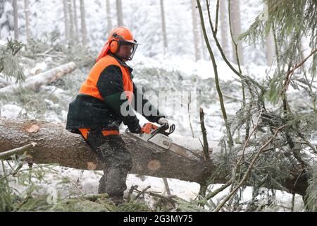 '11.02.2021, Kretscham-Rothensehma, Sassonia, Germania - Germania - gli operai forestali in inverno sono in posizione di gabbiatura. 00S210211D725CAROEX.JPG [VERSIONE DEL MODELLO: Foto Stock