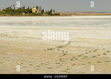 Hala Sultan Tekke mosquee sul lago salato di Larnaca a Cipro Foto Stock