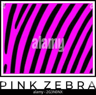 Cornice con una stampa di una zebra rosa su sfondo bianco. Illustrazione vettoriale. Illustrazione Vettoriale