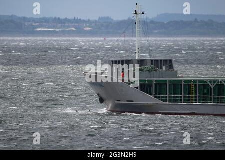 Fort George, Inverness, Scozia, Regno Unito. 13 giugno 2021. Nella foto: Le pinne dorsali possono essere viste dei Delfini del Moray Firth nuotare di fronte all'arco di una nave che passa nel porto di Inverness mentre passa Chanonry Point e Fort George. Una moltitudine di turisti si esibisce ogni giorno per guardare lo spettacolo e sperare di intravedere i delfini che giocano intorno nelle maree che cambiano. Credit: Colin Fisher/CDFIMAGES.COM Foto Stock