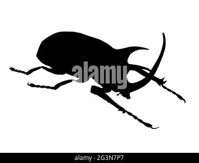 Rhinoceros beetle silhouette isolato su sfondo bianco. Illustrazione vettoriale. Illustrazione Vettoriale