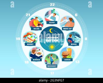 Infografica vettoriale di un ritmo circadiano e di una routine quotidiana di un giovane. Concetto di benessere Illustrazione Vettoriale