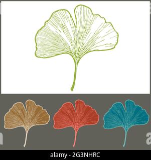 Foglie di Ginkgo isolate Illustrazione in vari colori - natura dentro Estate Illustrazione Vettoriale