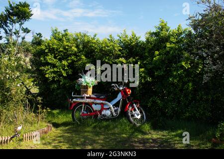 Decorazione esterna e classico retro rosso moto mobili moderno stile giardinaggio in giardino cortile esterno di caffè e ristorante caffè Foto Stock