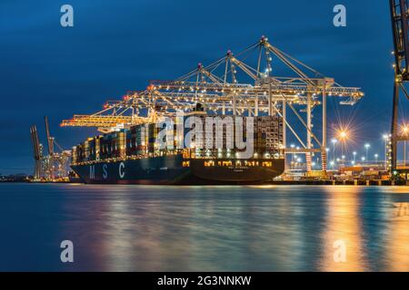 Una vista notturna della nave portacontainer MSC Istanbul che carica presso lo stabilimento DP World al porto di Southampton - Dicembre 2015 Foto Stock