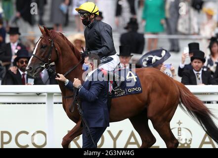 Stradivarius guidato dal fantino Frankie Dettori prima della Gold Cup durante il terzo giorno di Royal Ascot all'ippodromo di Ascot. Data immagine: Giovedì 17 giugno 2021. Foto Stock