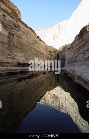 Piscina d'acqua nel Ein Mor Ravine vicino Avdat, deserto di Negev, escursionisti camminare ai piedi della scogliera sinistra, riflesso visto nell'acqua della scogliera soleggiata Foto Stock