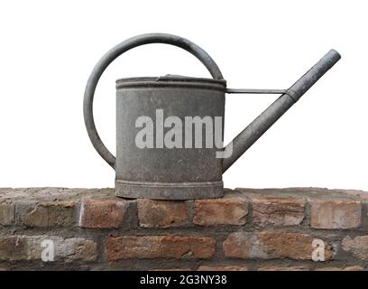 Vecchi impianti di irrigazione di zinco può su un muro di mattoni isolato Foto Stock