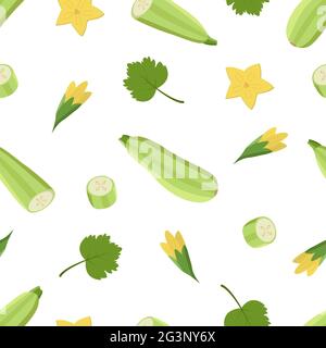 Zucchine intere e tagliate senza cuciture, fiori di zucchine e foglie. Illustrazione vettoriale di verdure, un insieme di zucchine di raccolta Foto Stock
