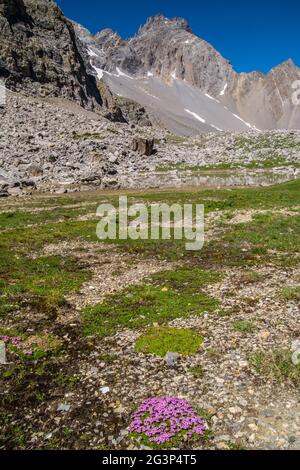 Lago di sainte anne qeyras in hautes alpes in francia Foto Stock