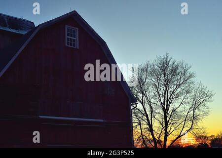 Platano, Illinois, Stati Uniti d'America. Un vecchio, weathered granaio rosso seduto tra alberi di sterile sotto un cielo invernale nel nordest Illinois. Foto Stock