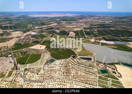 Drone punto di vista la Vega Baja del Segura campi agricoli, terreni agricoli durante il giorno di sole, vista dall'alto. Comarca in provincia di Alicante, Valencia Foto Stock
