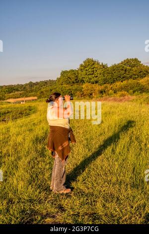 Donna birdwatching sulle paludi d'acqua dolce dietro la riva orientale del Wash a Norfolk. Foto Stock