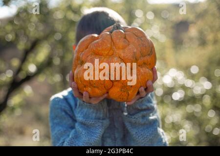 Zucca arancione deformata nelle mani di un bambino. Foto Stock