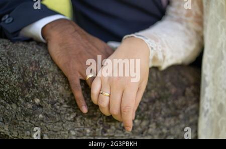 La mano della sposa dalla pelle chiara tiene delicatamente la mano di uno sposo dalla pelle scura Foto Stock