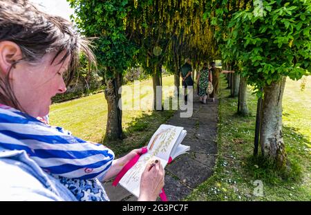 Haddington, East Lothian, Scozia, Regno Unito, 17 giugno 2021. Laburnum Arch allée in fiore: Lynn Fraser, artista e disegnatore locale noto come Fantoosh Art, traccia il bellissimo arco alberato che si trova nella Pleasance di Santa Maria, un patrimonio giardino murato Foto Stock