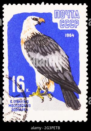 MOSCA, RUSSIA - 22 MARZO 2020: Francobollo stampato in Unione Sovietica mostra Lammergeier (Gypaetus barbatus), Mosca Zoo Centenary serie, circa 1964 Foto Stock