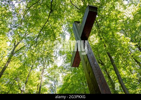Una grande croce di legno sotto le cime degli alberi nella foresta. Foto Stock
