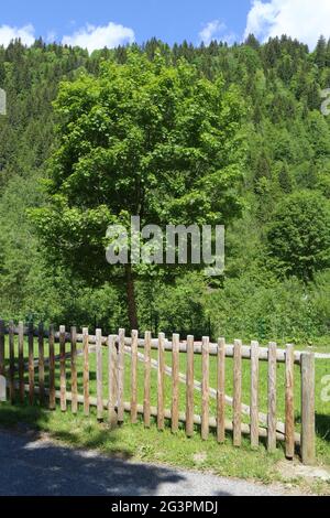 Barrière en bois séparant un chemin de randonnée et la Forêt. Les Contamines-Montjoie. Alta Savoia. Auvergne-Rhône-Alpes. Francia. Foto Stock